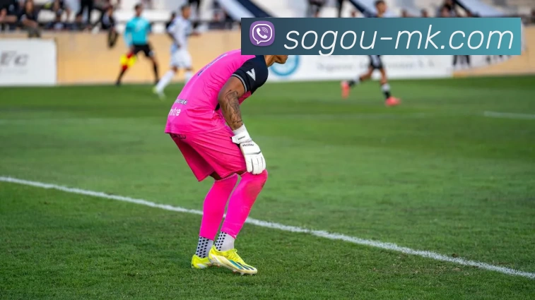 MK体育APP 体育赛事宣传图