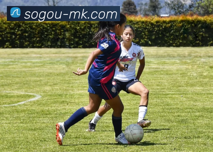 MK体育APP 高清赛事图